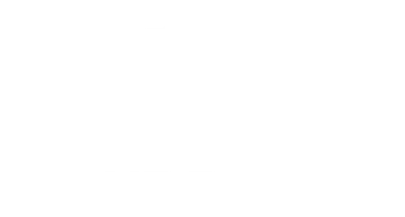 CHEF’S KNIFE (ESSENTIAL KITCHEN KNIFE)